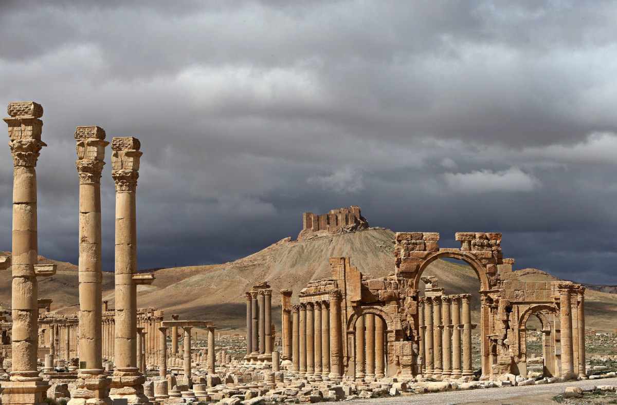 Palmyra-